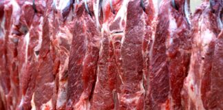 decisao-sobre-o-futuro-da-carne-brasileira-na-china-fica-para-2026;-ouca-o-comentario