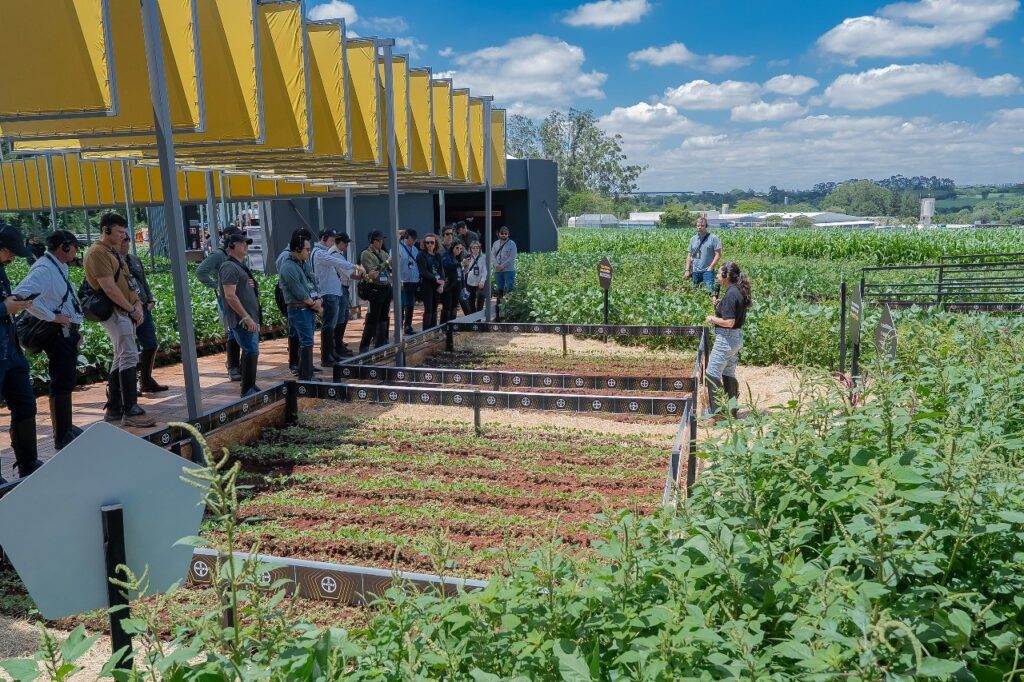 bayer-lanca-soja-intacta-5+,-prevista-para-a-safra-2027/28