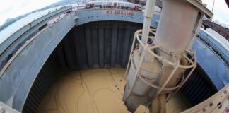 china-cancela-carga-de-soja-do-brasil-e-suspende-cinco-unidades,-diz-jornal