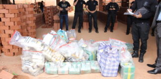 pcac-destroi-500-kg-de-drogas-e-causa-novo-baque-financeiro-de-r$-3,5-milhoes-a-organizacoes-criminosas
