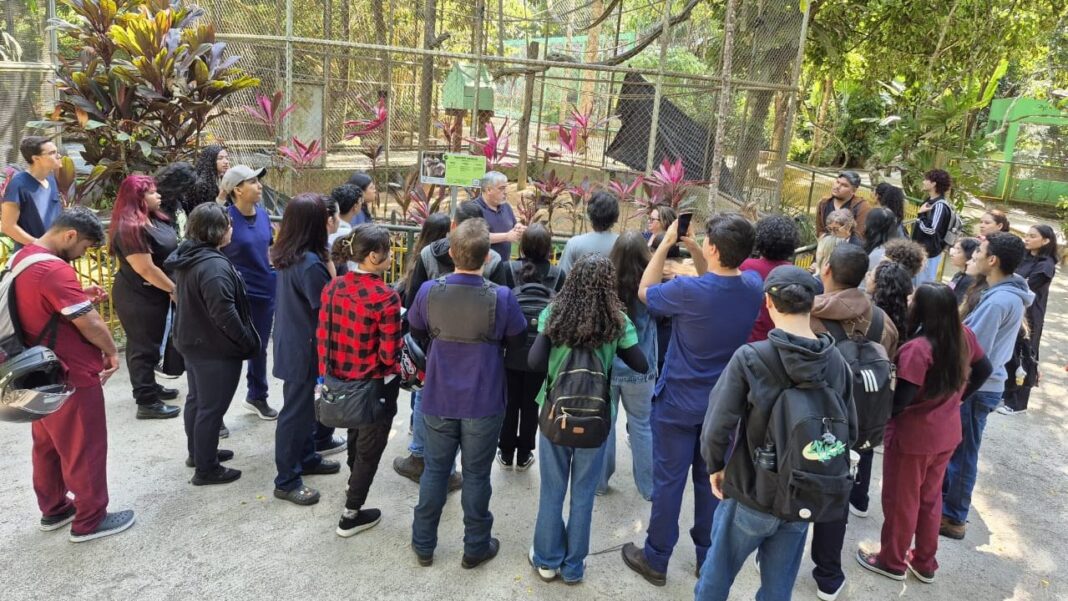 prefeitura-de-rio-branco-e-fundacao-rede-amazonica-promovem-acao-“consciencia-limpa”,-na-praca-do-sao-francisco