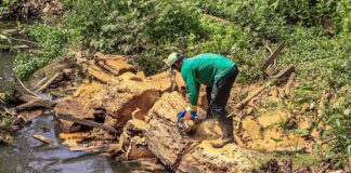 novas-regras-de-licenciamento-ambiental-entram-em-vigor-em-rio-branco-a-partir-de-1o-de-dezembro