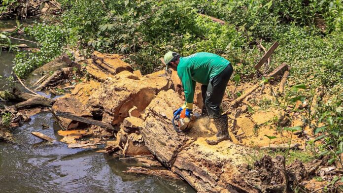 novas-regras-de-licenciamento-ambiental-entram-em-vigor-em-rio-branco-a-partir-de-1o-de-dezembro