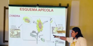 governo-do-acre-realiza-curso-para-capacitar-produtores-de-mel-do-jurua-e-fortalecer-cadeia-apicola-na-regiao