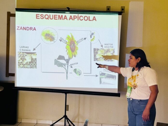 governo-do-acre-realiza-curso-para-capacitar-produtores-de-mel-do-jurua-e-fortalecer-cadeia-apicola-na-regiao