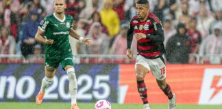 palmeiras-e-flamengo-decidem-1o-tetra-brasileiro-na-libertadores