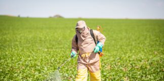 anvisa-regulamenta-avaliacao-de-risco-de-exposicao-a-agrotoxicos