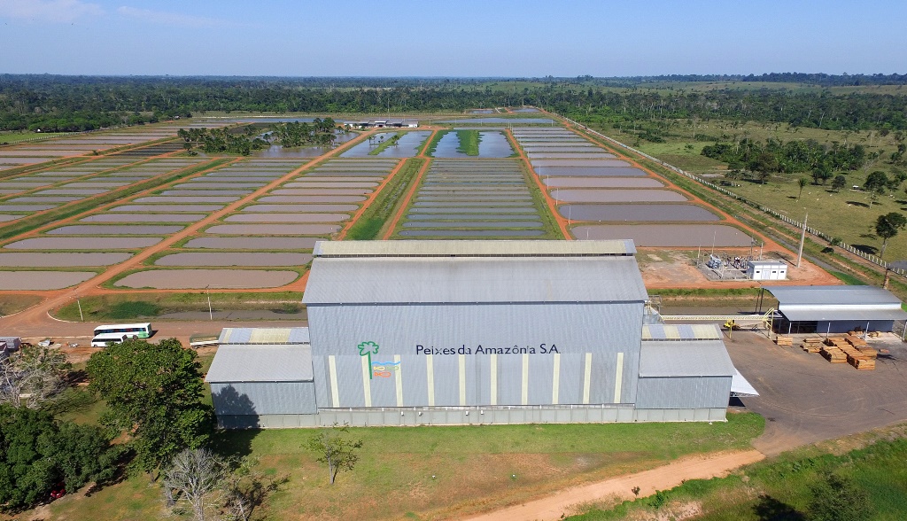 complexo industrial da Peixes da Amazônia em Rio Branco estrutura da massa falida do Acre