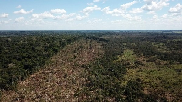 Amazônia Legal: desmatamento no Acre mais de dobrou em seis anos