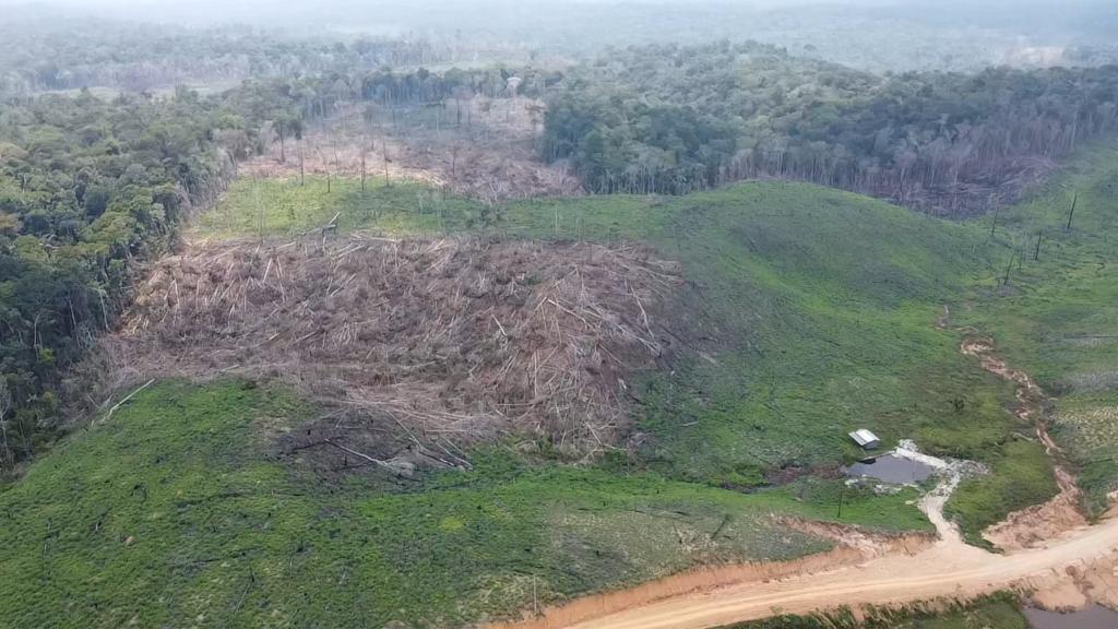 Relatório do INPE confirma que o Acre reduziu quase um terço da perda florestal antes do prazo previsto.