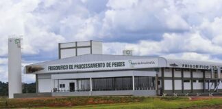 peixes da amazônia leilão industrial Rio Branco acre jornal jornais do acre