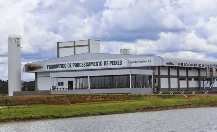 peixes da amazônia leilão industrial Rio Branco acre jornal jornais do acre