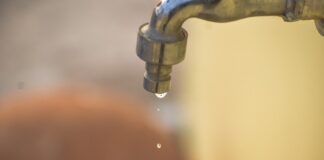 (Reprodução/ PixaBay)