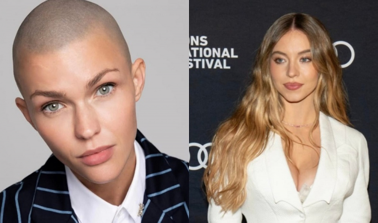 Atriz lésbica culpa Sydney Sweeney por fracasso de | Cidade AC News – Notícias do Acre