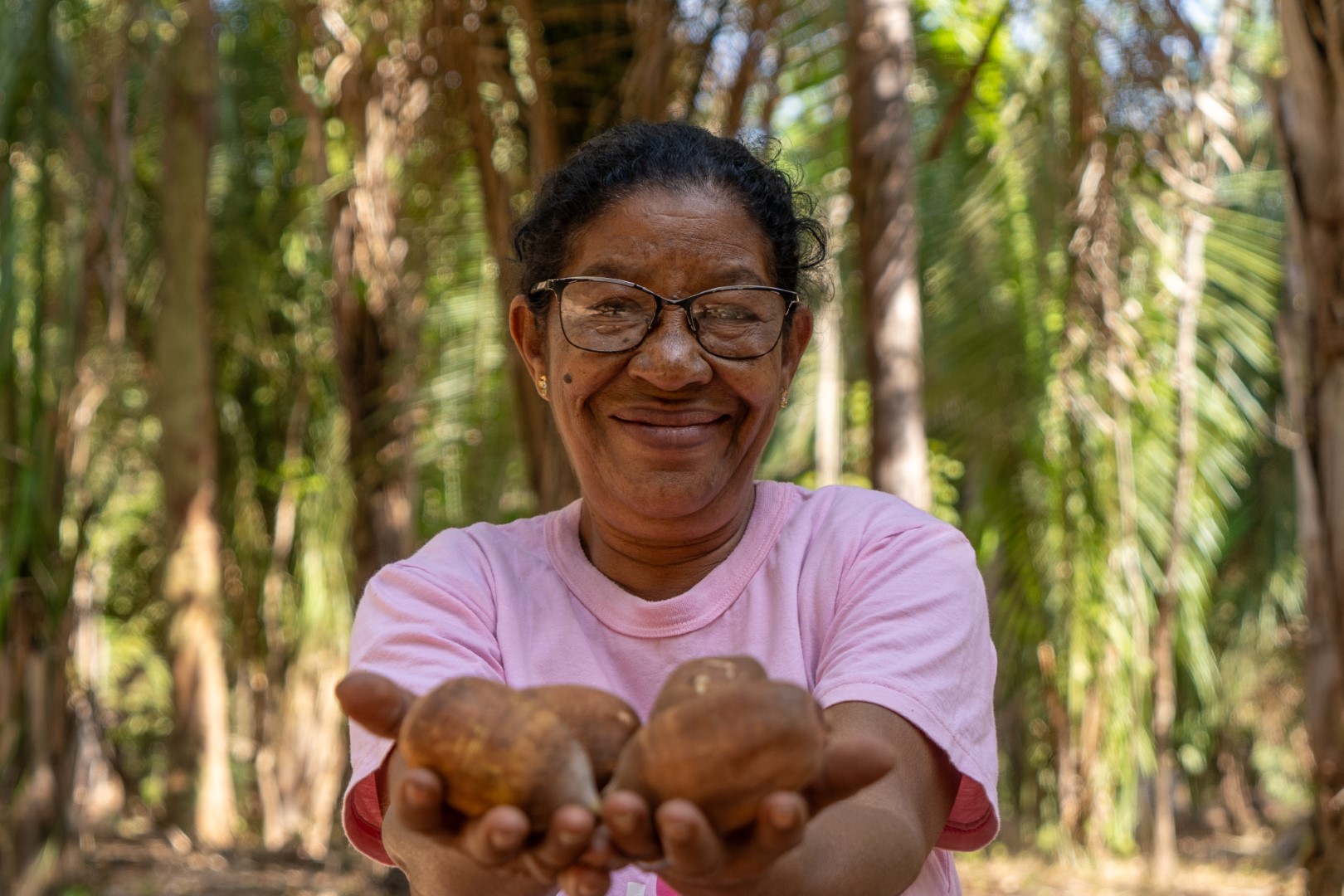 Bioeconomia nos cocais: indústria sustentável do babaçu gera renda e qualidade de vida | Cidade AC News – Notícias do Acre