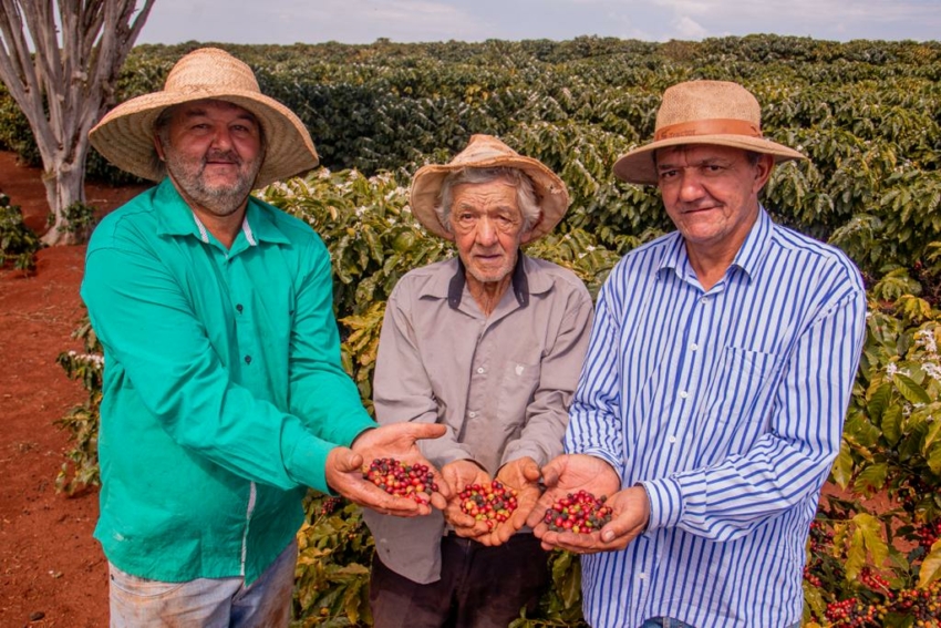 Líder em Indicações Geográficas, café brasileiro prova não ser apenas uma commodity | Cidade AC News – Notícias do Acre