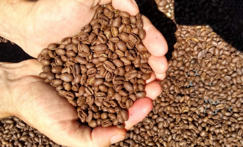 Sebrae abre portas para pequenos cafeicultores na Semana Internacional do Café | Cidade AC News – Notícias do Acre