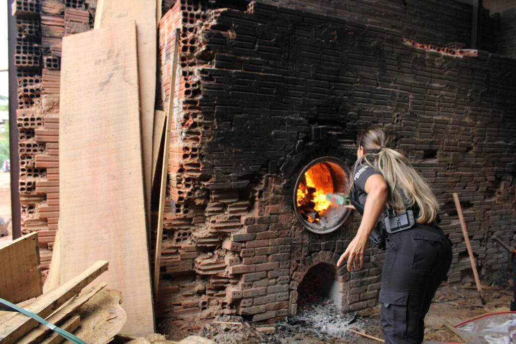 PCAC destrói 500 kg de drogas e causa novo baque financeiro de R$ 3,5 milhões a organizações criminosas | Cidade AC News – Notícias do Acre