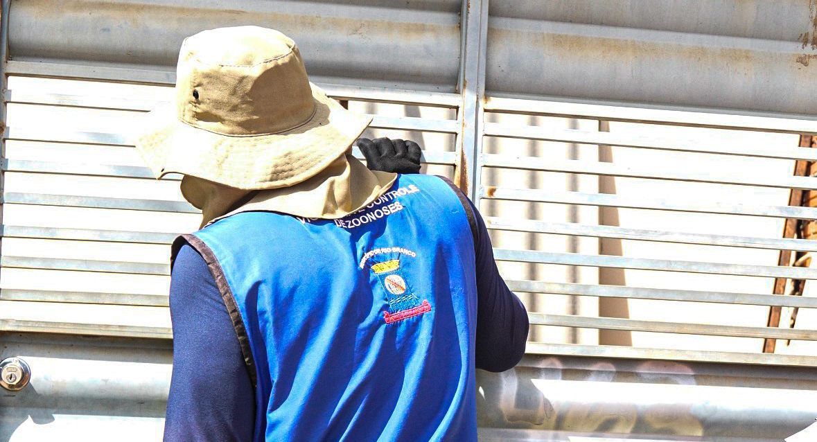 Vacinacao antirrabica e ultrapassa 80 de cobertura em caes e gatos 2