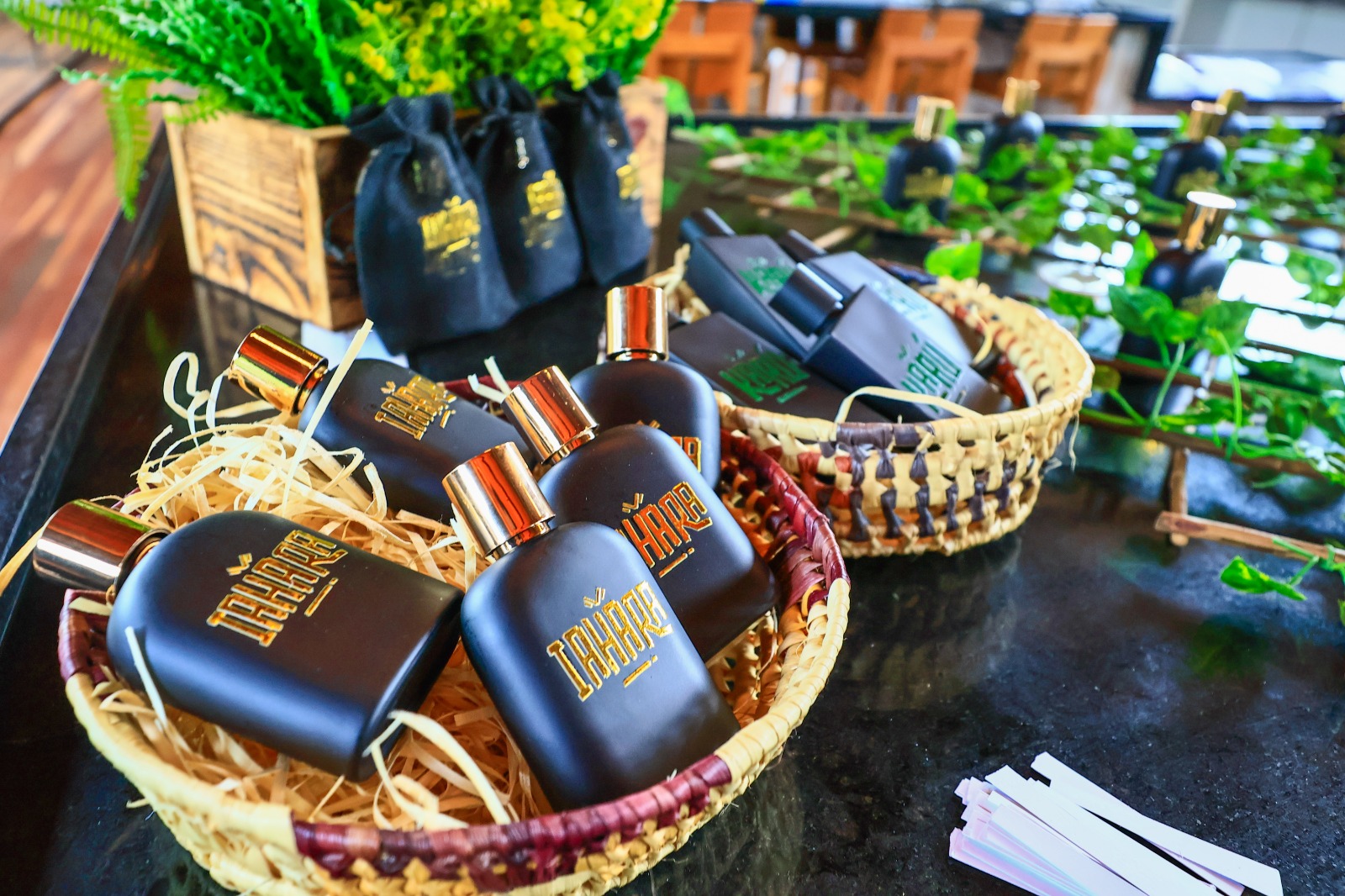 Startup brasileira revoluciona mercado com criação de perfume funcional amazônico | Cidade AC News – Notícias do Acre