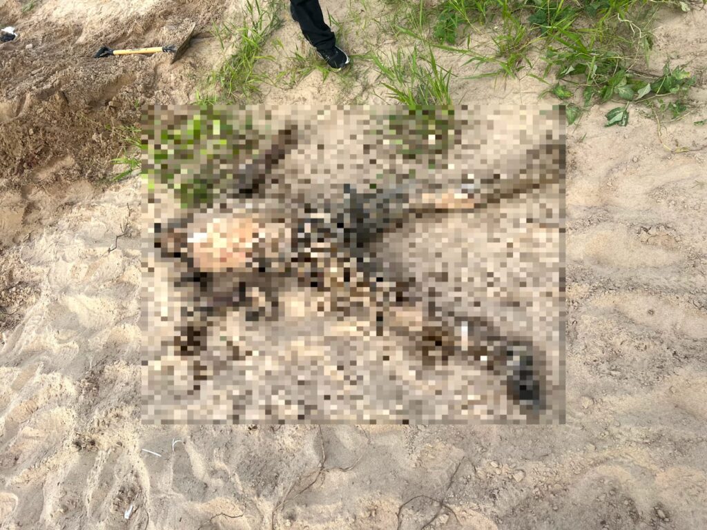 PCAC identifica e apreende menor suspeito de participar de execução motivada por facção em Cruzeiro do Sul | Cidade AC News – Notícias do Acre