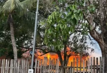 sogra-ateia-fogo-em-casa-de-casal-apos-genro-ser-preso-por-violencia-domestica-em-rio-branco