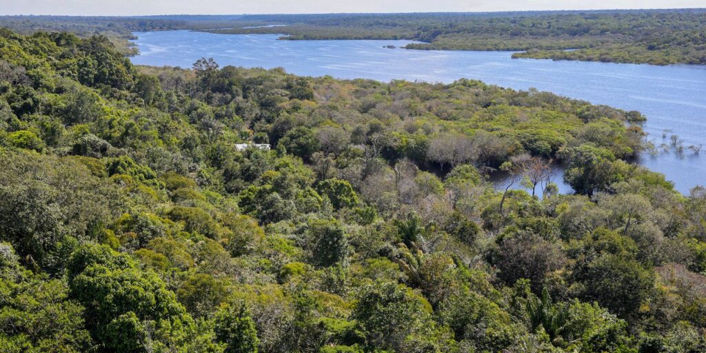 Plano para biodiversidade prevê criação de unidades de conservação – Cidade AC News plano-para-biodiversidade-preve-criacao-de-unidades-de-conservacao