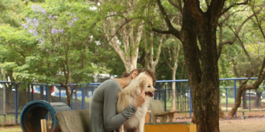 Cade aprova fusão entre Petz e Cobasi com restrições – Cidade AC News cade-aprova-fusao-entre-petz-e-cobasi-com-restricoes