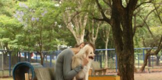 Cade aprova fusão entre Petz e Cobasi com restrições cade-aprova-fusao-entre-petz-e-cobasi-com-restricoes