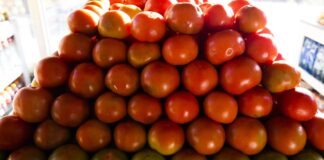 Inflação da comida em casa cai 0,2% em novembro, sexto recuo seguido inflacao-da-comida-em-casa-cai-0,2%-em-novembro,-sexto-recuo-seguido