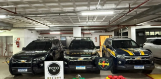 Polícia Civil participa de operação integrada da FICCO/AC que apreende grande carregamento de drogas e armas de fogo policia-civil-participa-de-operacao-integrada-da-ficco/ac-que-apreende-grande-carregamento-de-drogas-e-armas-de-fogo