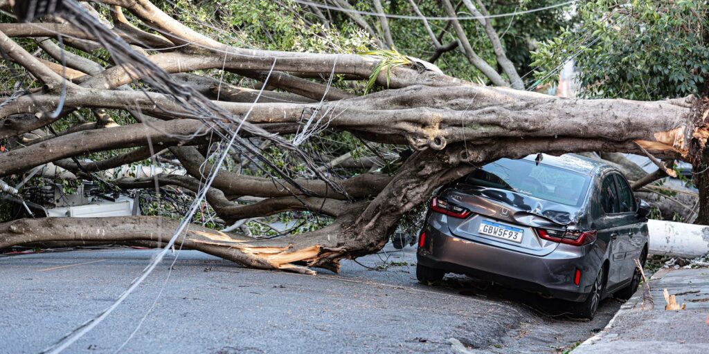 1,5 milhão de imóveis estão sem energia em SP após passagem de ciclone – Cidade AC News 1,5-milhao-de-imoveis-estao-sem-energia-em-sp-apos-passagem-de-ciclone