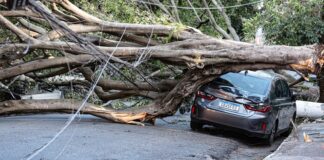 1,5 milhão de imóveis estão sem energia em SP após passagem de ciclone 1,5-milhao-de-imoveis-estao-sem-energia-em-sp-apos-passagem-de-ciclone