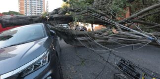 Comércio perde mais de R$ 50 milhões com falta de energia em São Paulo comercio-perde-mais-de-r$-50-milhoes-com-falta-de-energia-em-sao-paulo