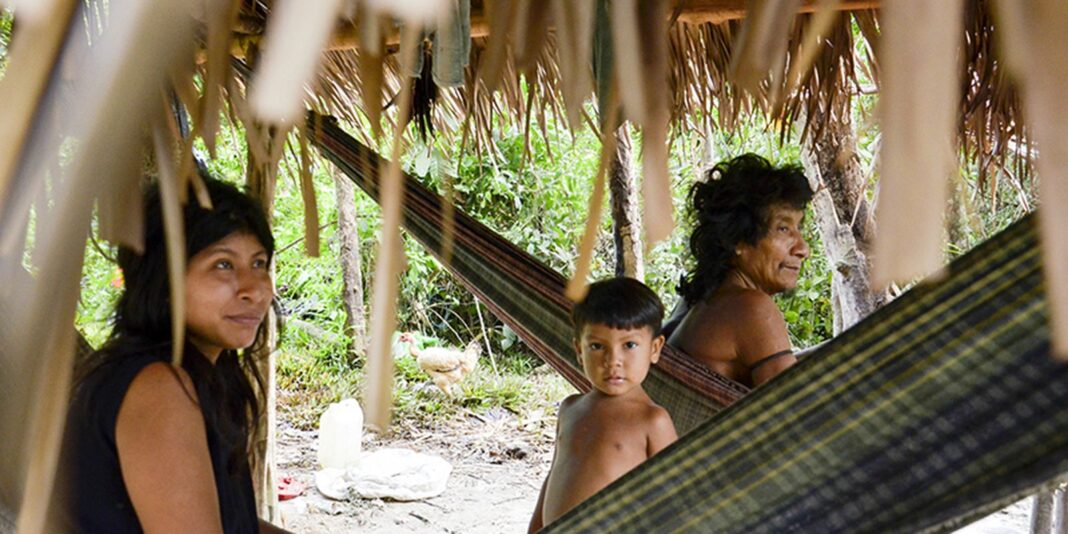 brasil-lidera-numero-de-povos-isolados,-mas-ha-lacunas-na-protecao