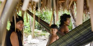 Brasil lidera número de povos isolados, mas há lacunas na proteção brasil-lidera-numero-de-povos-isolados,-mas-ha-lacunas-na-protecao