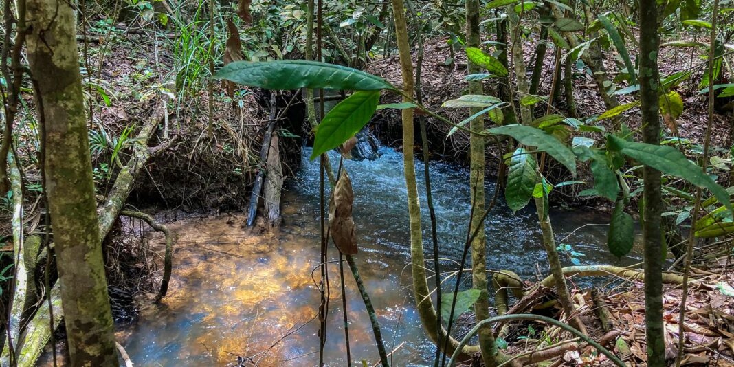 disponibilidade-de-agua-renovavel-no-mundo-caiu-7%-em-10-anos