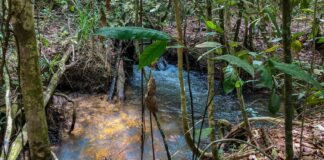 disponibilidade-de-agua-renovavel-no-mundo-caiu-7%-em-10-anos