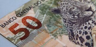 Fundações sem fins lucrativos pagam salários maiores que empresas fundacoes-sem-fins-lucrativos-pagam-salarios-maiores-que-empresas