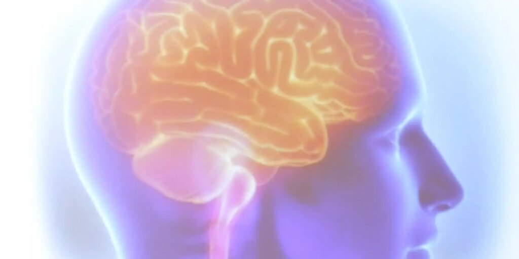 Projeto Ártemis avalia genética de pacientes que sofreram AVC – Cidade AC News projeto-artemis-avalia-genetica-de-pacientes-que-sofreram-avc