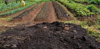 cmn-amplia-socorro-a-produtores-afetados-pelo-clima