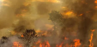 Acre reduz em quase 75% os focos de incêndio em 2025, aponta Inpe acre-reduz-em-quase-75%-os-focos-de-incendio-em-2025,-aponta-inpe