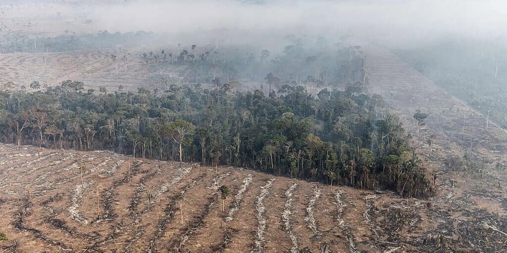 Inpe revela que o Amazonas registrou queda de 80% no número incêndios – Cidade AC News inpe-revela-que-o-amazonas-registrou-queda-de-80%-no-numero-incendios