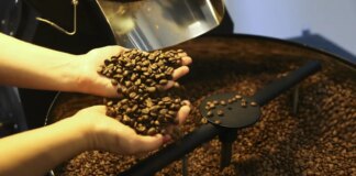Exportação de café do Brasil cai em 2025, mas bate recorde em receita exportacao-de-cafe-do-brasil-cai-em-2025,-mas-bate-recorde-em-receita