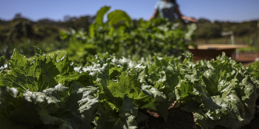 acordo-garante-terras-a-3-mil-familias-em-assentamentos-no-parana