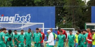 Novorizontino x Palmeiras no Paulistão; saiba onde assistir e prováveis escalações novorizontino-x-palmeiras-no-paulistao;-saiba-onde-assistir-e-provaveis-escalacoes