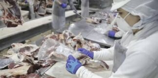 puxada-por-exportacoes-de-carne-bovina-e-soja,-balanca-comercial-do-ac-supera-us$-93-milhoes-em-2025