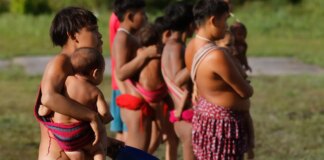 governo-e-onu-tem-programacao-alusiva-a-3-anos-de-emergencia-yanomami