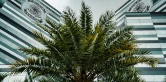 pf-adia-depoimentos-de-tres-investigados-no-inquerito-do-banco-master