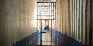 cidh-condena-brasil-por-manter-preso-em-solitaria-por-mais-de-4-anos